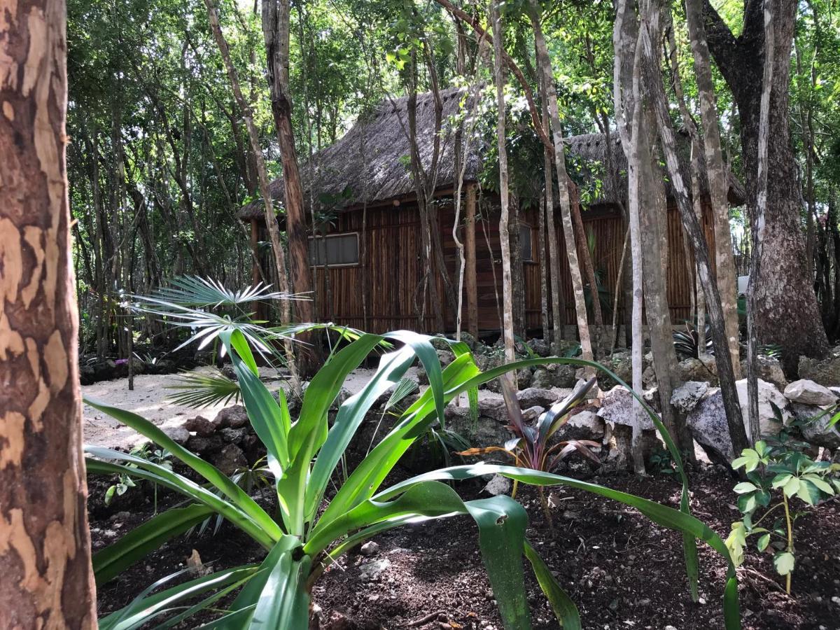 Bayou Tulum Kültér fotó
